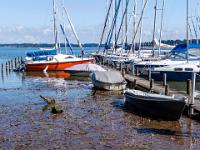 Boote am überfluteten Seeufer bei Felden